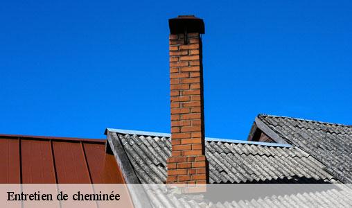 Entretien de cheminée