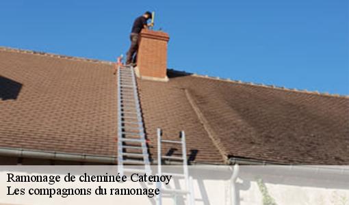 Ramonage de cheminée catenoy-60600 Les compagnons du ramonage