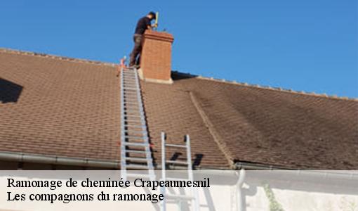 Ramonage de cheminée crapeaumesnil-60310 Les compagnons du ramonage