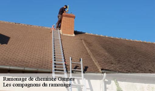 Ramonage de cheminée gannes-60120 Les compagnons du ramonage