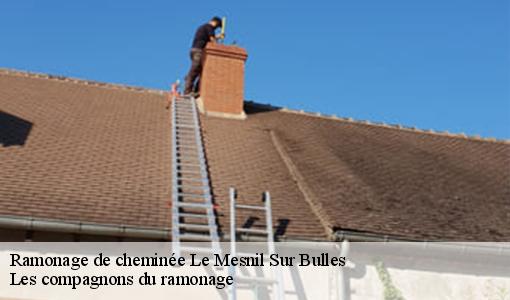 Ramonage de cheminée le-mesnil-sur-bulles-60130 Les compagnons du ramonage