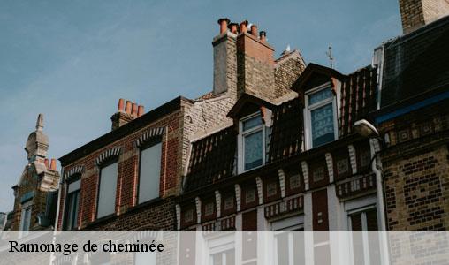 Ramonage de cheminée