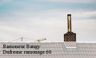 Ramoneur  baugy-60113 Dufresne ramonage 60