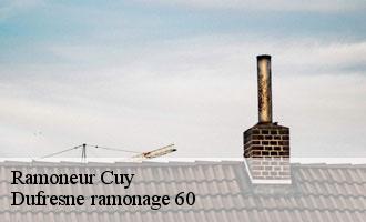 Ramoneur cuy-60310 Dufresne ramonage 60