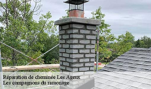 Réparation de cheminée les-ageux-60700 Les compagnons du ramonage