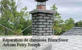 Réparation de cheminée blancfosse-60120 Artisan Petry Joseph