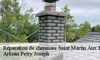 Réparation de cheminée saint-martin-aux-bois-60420 Artisan Petry Joseph