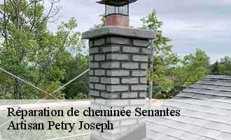 Réparation de cheminée  senantes-60650 Artisan Petry Joseph