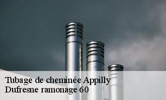 Tubage de cheminée  appilly-60400 Dufresne ramonage 60