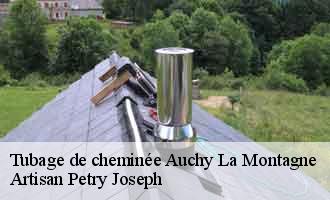 Tubage de cheminée auchy-la-montagne-60360 Artisan Petry Joseph