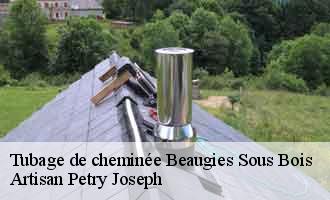 Tubage de cheminée beaugies-sous-bois-60640 Artisan Petry Joseph