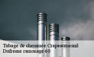 Tubage de cheminée  crapeaumesnil-60310 Dufresne ramonage 60