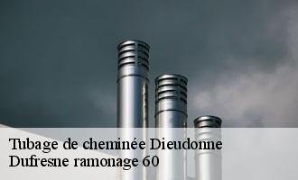 Tubage de cheminée dieudonne-60530 Dufresne ramonage 60