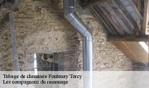 Tubage de cheminée  fontenay-torcy-60380 Renolde Franck ramonage 60