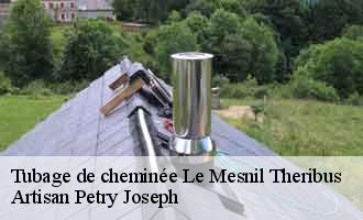 Tubage de cheminée le-mesnil-theribus-60240 Artisan Petry Joseph