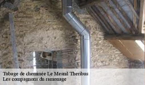 Tubage de cheminée le-mesnil-theribus-60240 Les compagnons du ramonage
