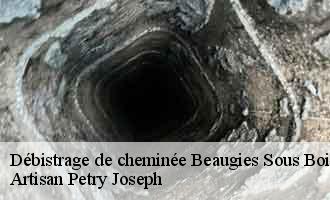 Débistrage de cheminée  beaugies-sous-bois-60640 Artisan Petry Joseph
