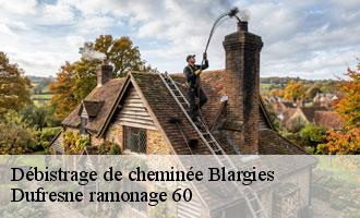 Débistrage de cheminée blargies-60220 Dufresne ramonage 60