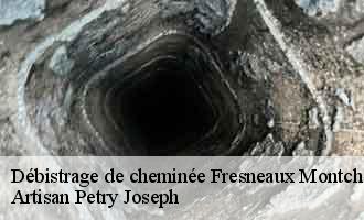 Débistrage de cheminée fresneaux-montchevreuil-60240 Artisan Petry Joseph