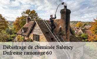 Débistrage de cheminée  salency-60400 Dufresne ramonage 60