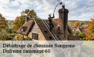 Débistrage de cheminée songeons-60380 Dufresne ramonage 60