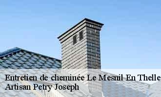 Entretien de cheminée  le-mesnil-en-thelle-60530 Artisan Petry Joseph