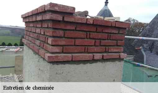 Entretien de cheminée